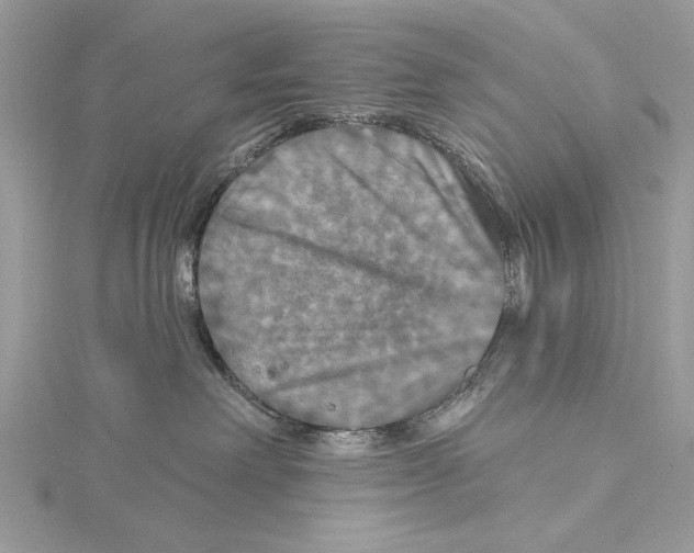 X0000115450238200912021013