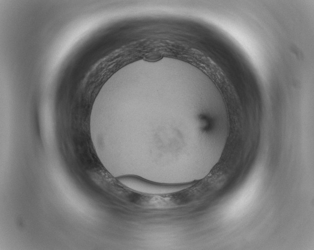 X0000115450239200912021013