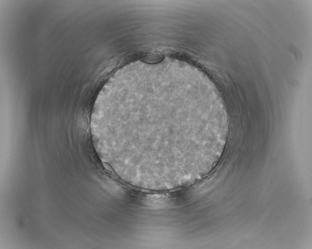 X0000115450240200912021012