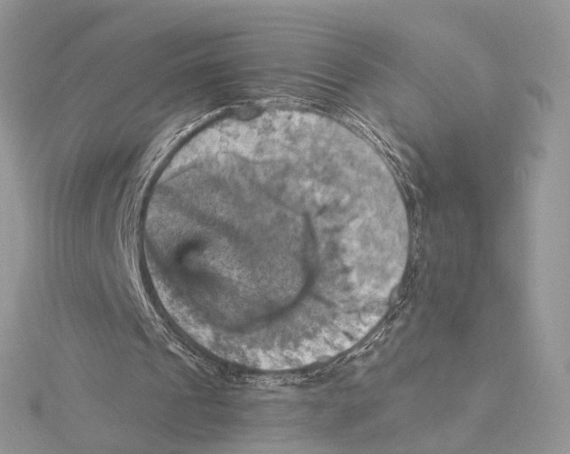 X0000115450241200912021012