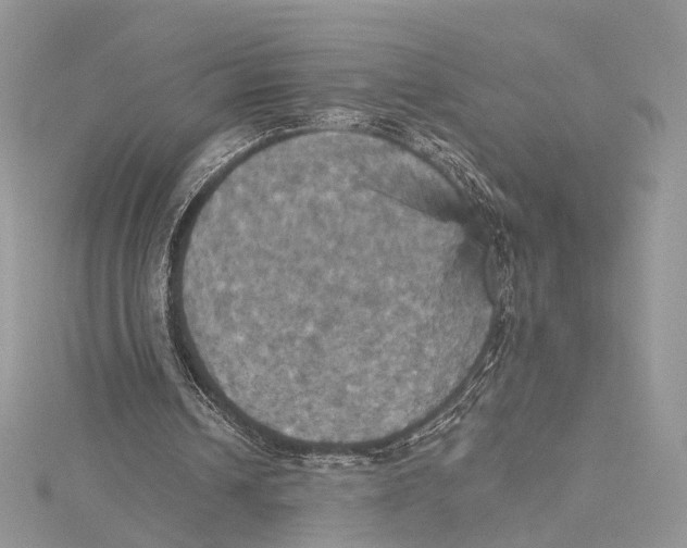 X0000115450242200912021012