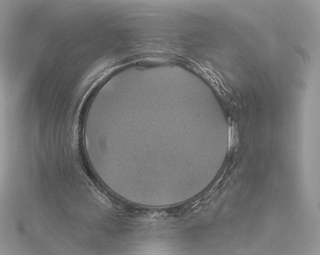 X0000115450243200912021012