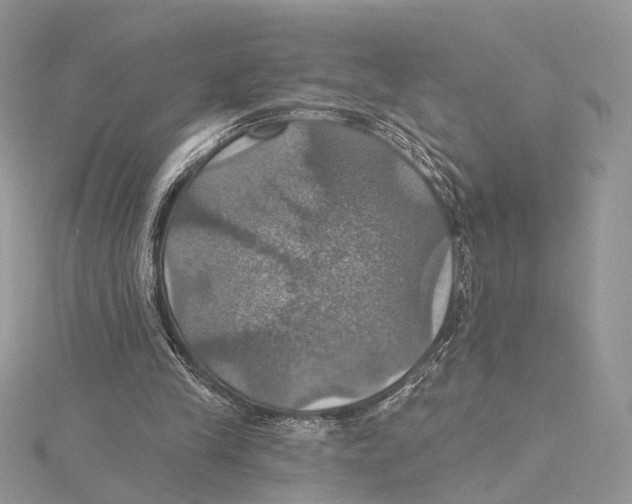 X0000115450245200912021012