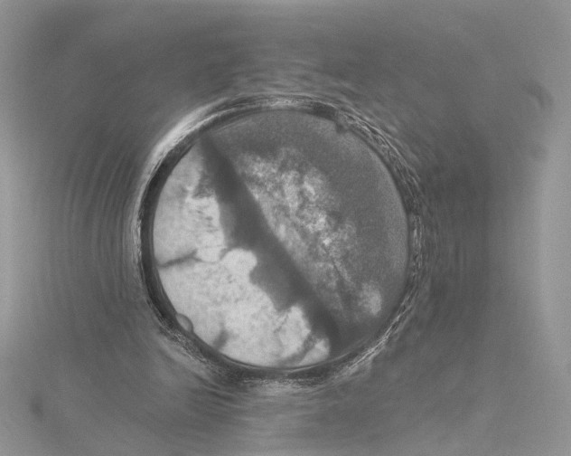 X0000115450246200912021012