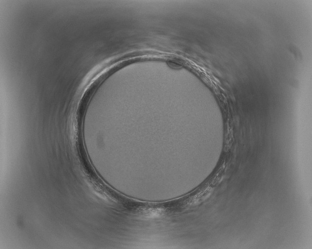 X0000115450247200912021012