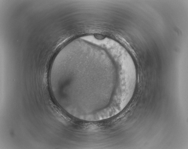 X0000115450249200912021012