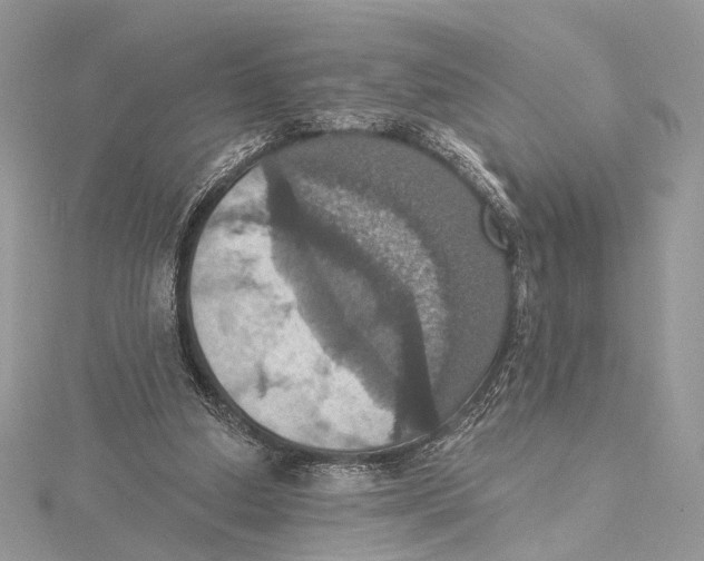 X0000115450250200912021012