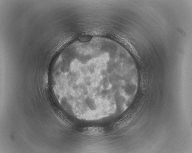 X0000115450251200912021012