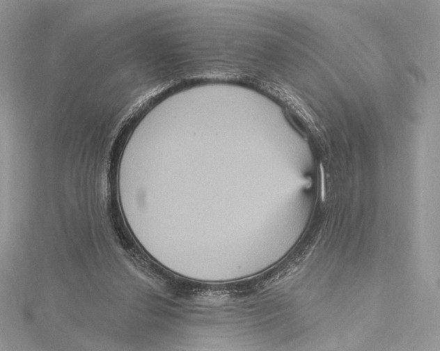 X0000115450252200912021012