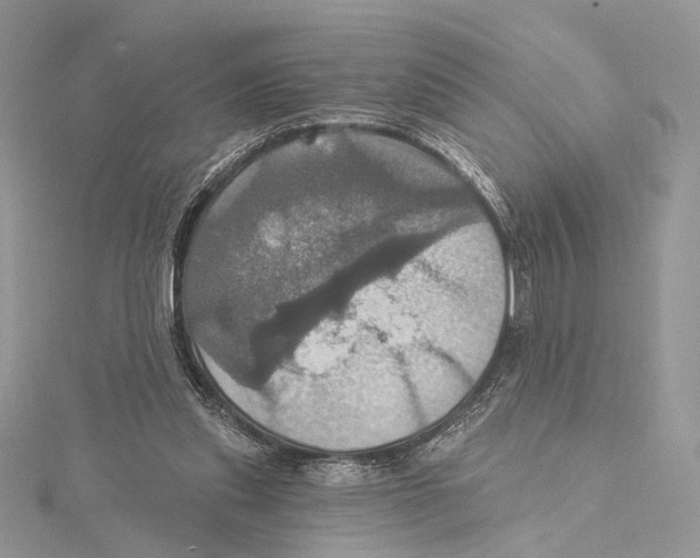 X0000115450253200912021012