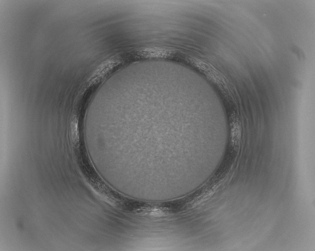 X0000115450254200912021012