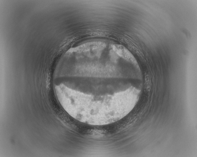 X0000115450255200912021012