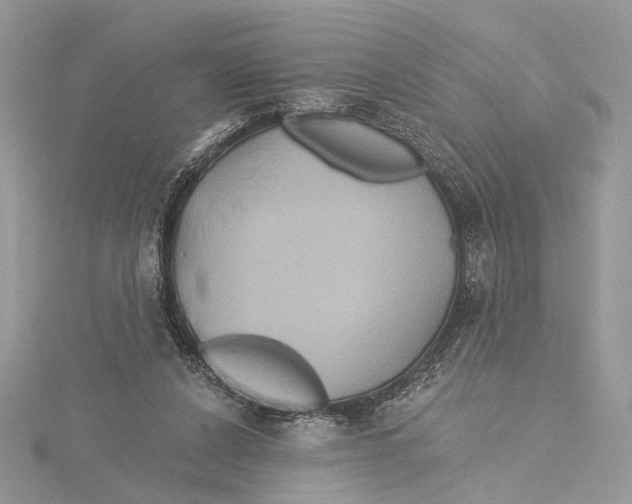 X0000115450256200912021012