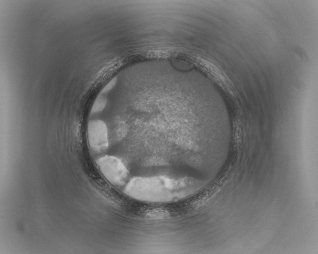 X0000115450258200912021012