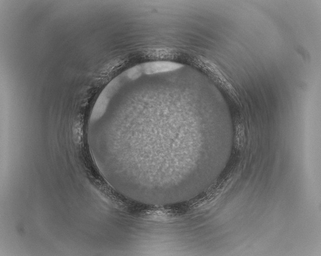 X0000115450259200912021012