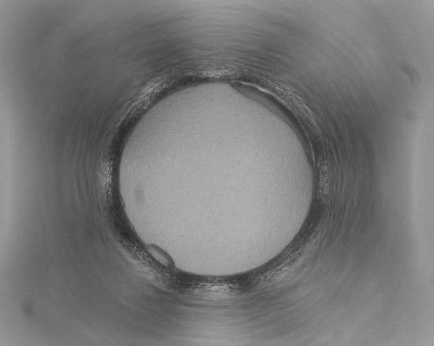 X0000115450260200912021012