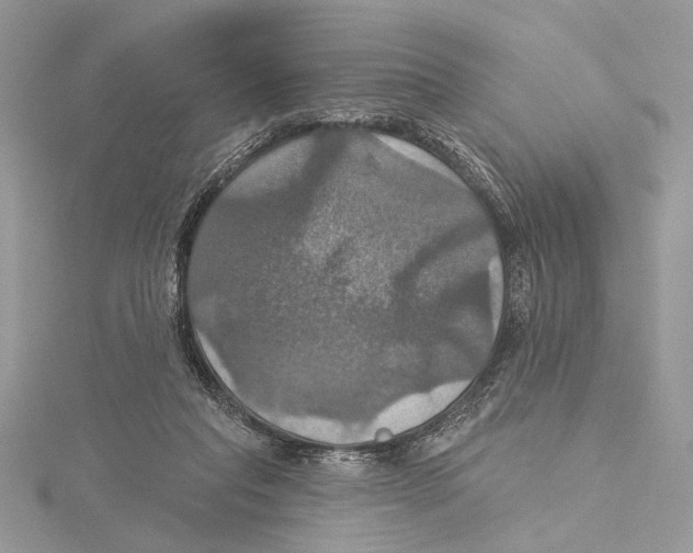 X0000115450261200912021012