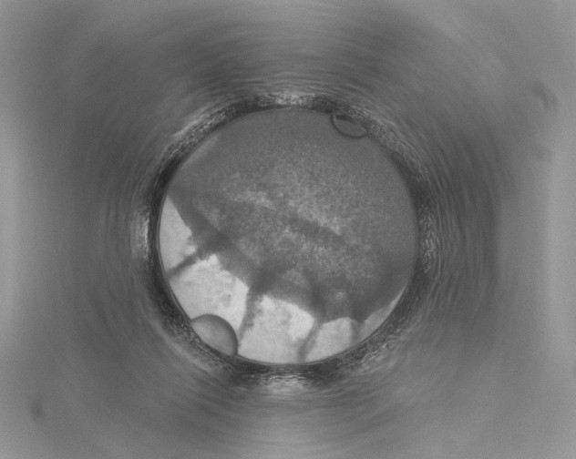 X0000115450262200912021012