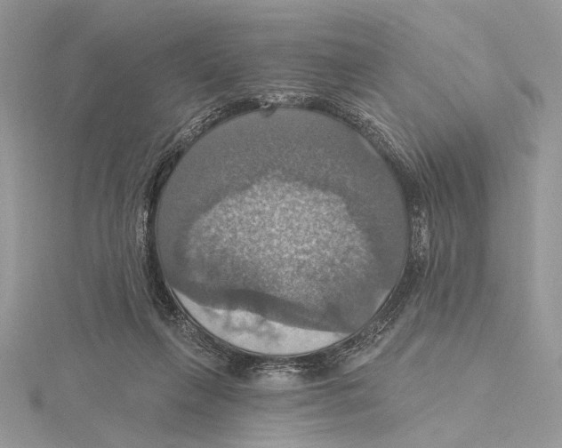 X0000115450263200912021012