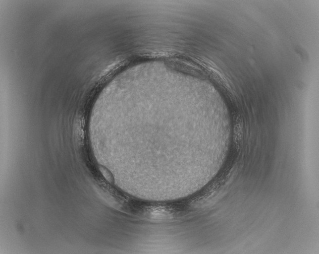 X0000115450264200912021012