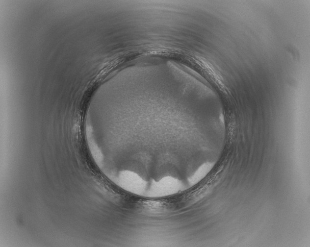 X0000115450265200912021012