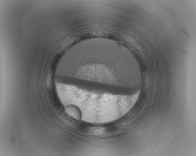 X0000115450266200912021012