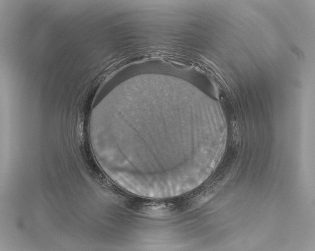 X0000115450267200912021012