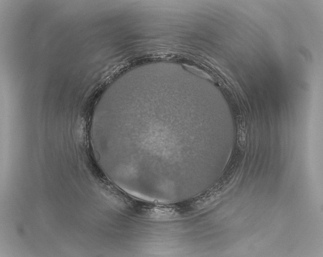 X0000115450270200912021012