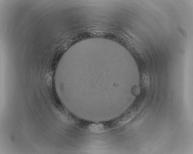 X0000115450271200912021012