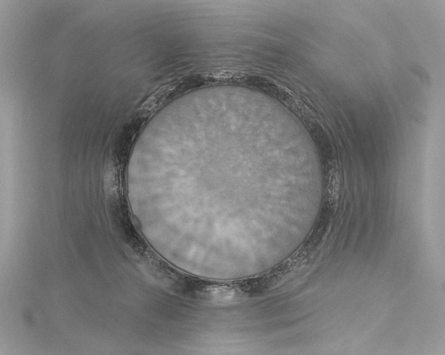 X0000115450272200912021012