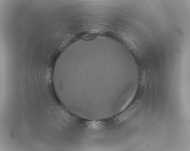 X0000115450273200912021012