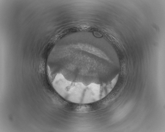 X0000115450274200912021012