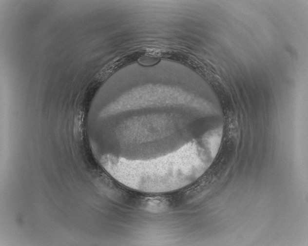 X0000115450275200912021012