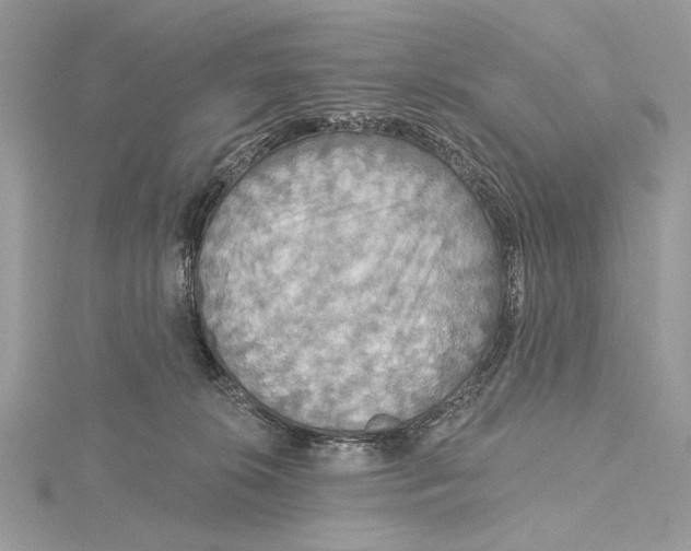 X0000115450276200912021012