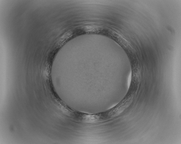 X0000115450277200912021012