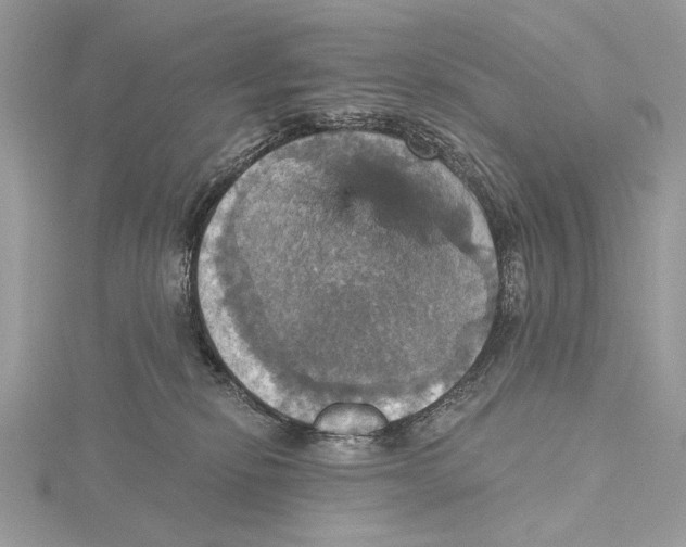 X0000115450278200912021012