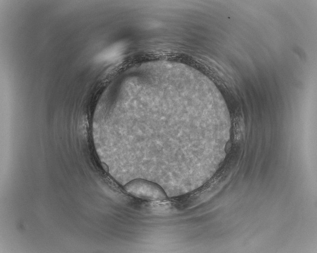 X0000115450279200912021012