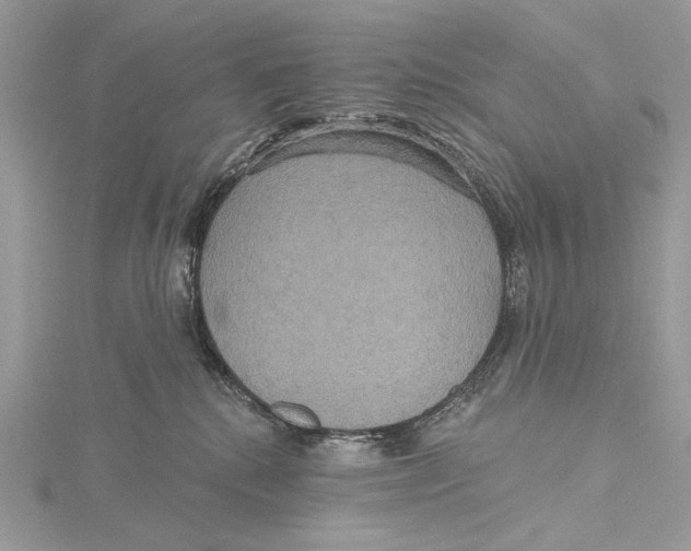 X0000115450280200912021012