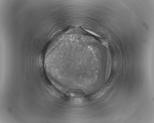 X0000115450282200912021012