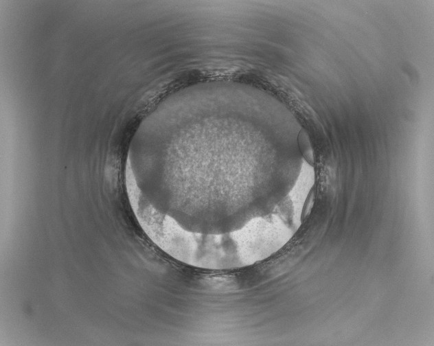 X0000115450283200912021012