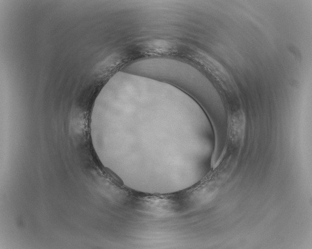 X0000115450284200912021012