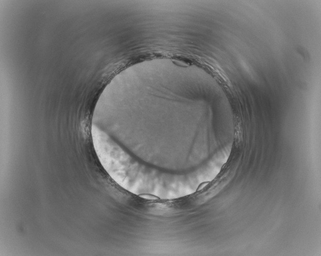 X0000115450285200912021012