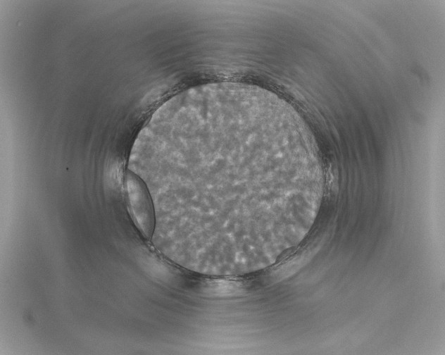 X0000115450286200912021012