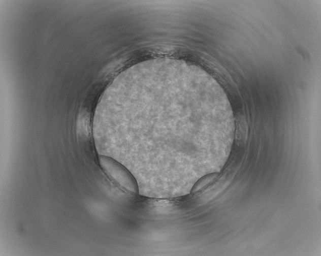 X0000115450287200912021012