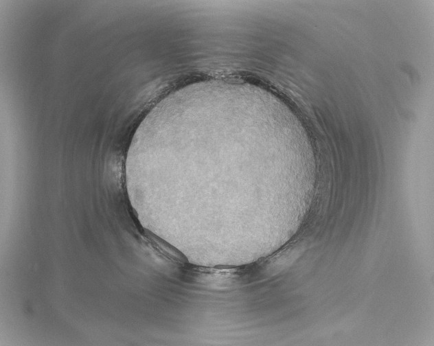 X0000115450288200912021012