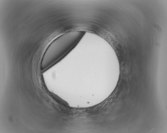 X0000115450289200912021012