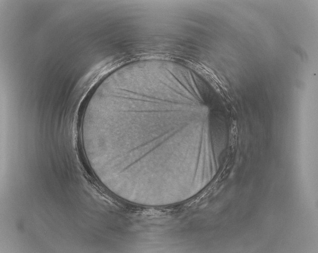 X0000115450290200912021012