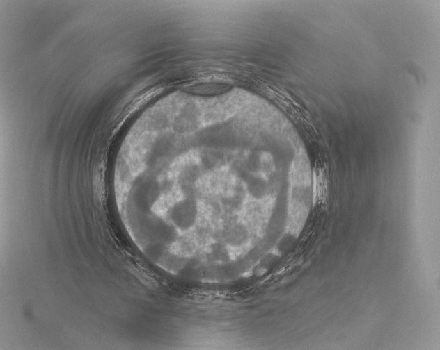 X0000115450291200912021012