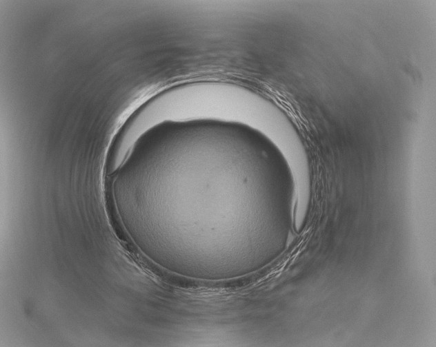 X0000115450292200912021012