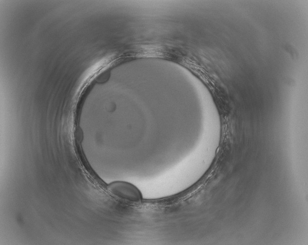 X0000115450293200912021012